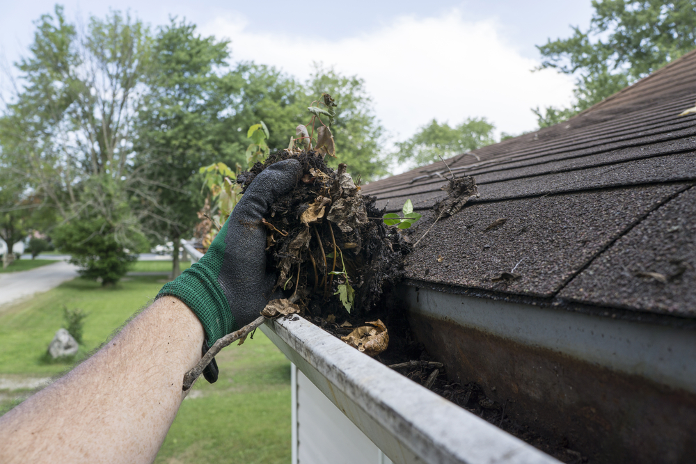 Picture of Gutter Cleaning