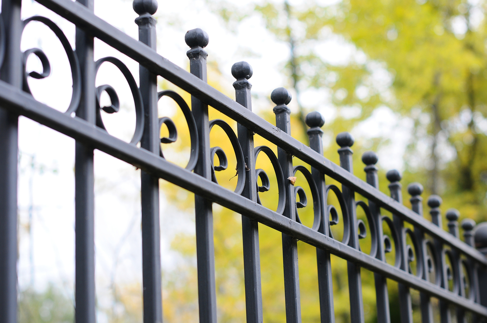 Picture of Wrought Iron Fencing