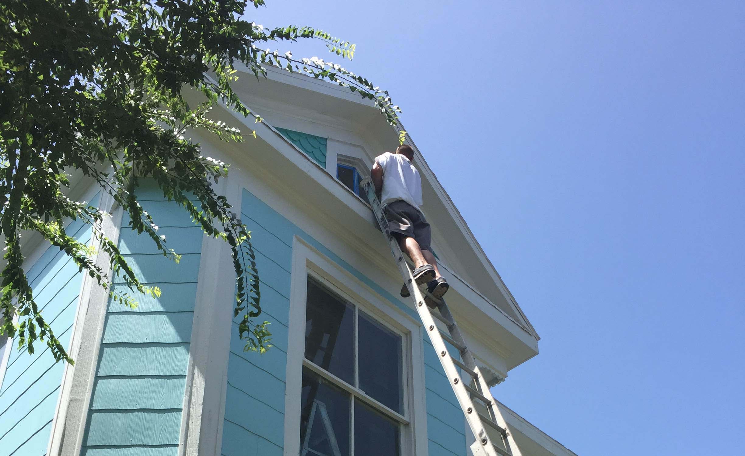 Picture of Exterior Painting and Siding Repair